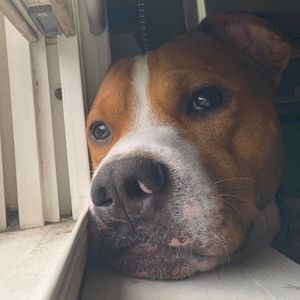 Meet your Posher, Emmanuel